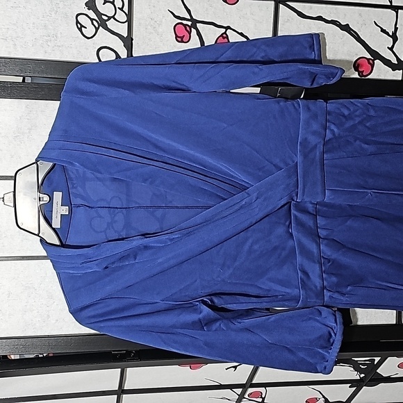 Classiques Entier Nordstrom‎ Blue Dress Size 10 NWT - Picture 3 of 8